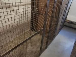 Pronájem bytu 3+kk, Benešov, Na Bezděkově, 64 m2