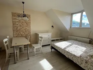 Pronájem bytu 3+kk, Karlovy Vary, nábřeží Jana Palacha, 65 m2