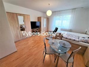 Pronájem bytu 1+kk, Hradec Králové, Labská louka, 40 m2