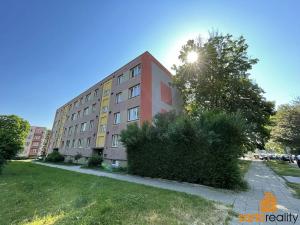 Pronájem bytu 2+1, Ústí nad Labem, Školní, 55 m2