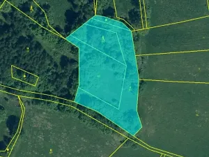 Prodej pole, Kolinec, 75440 m2