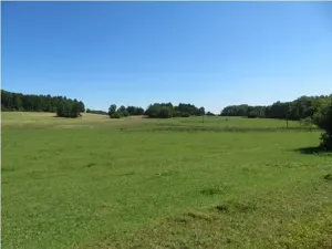 Prodej lesa, Kolinec, 75440 m2