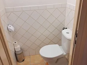 Pronájem bytu 4+1, Brno, Dvořákova, 111 m2