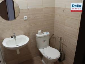 Pronájem bytu 1+kk, Liberec, Tanvaldská, 33 m2
