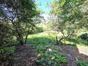 Prodej rodinného domu, Kulířov, 74 m2