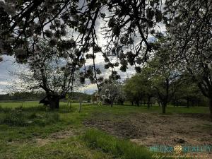 Prodej pozemku pro bydlení, Bílé Poličany, 2980 m2