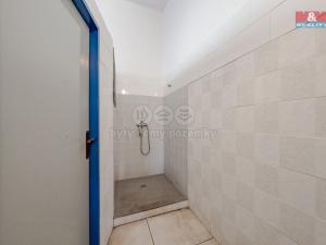 Prodej obchodního prostoru, Šarovy, 400 m2