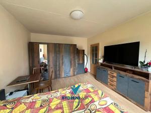 Prodej bytu 1+kk, Teplice, Hlávkova, 27 m2