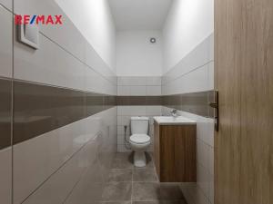 Prodej obchodního prostoru, Zbiroh, Líšenská, 700 m2