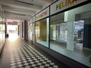 Pronájem obchodního prostoru, Karlovy Vary, Dr. Davida Bechera, 110 m2