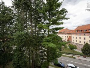 Prodej bytu 1+1, Brno, Mučednická, 46 m2