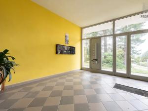 Prodej bytu 1+1, Brno, Mučednická, 46 m2