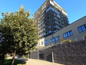 Pronájem garážového stání, Praha - Žižkov, Malešická, 13 m2