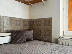 Pronájem bytu 1+kk, České Budějovice, Jar. Haška, 18 m2