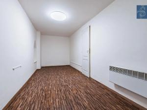 Prodej bytu 1+kk, Praha - Nusle, Na Jezerce, 35 m2