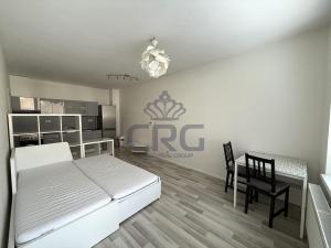 Pronájem bytu 1+kk, Moravany, Višňová, 30 m2