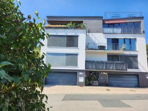 Pronájem bytu 2+kk, Brno, Sosnová, 59 m2