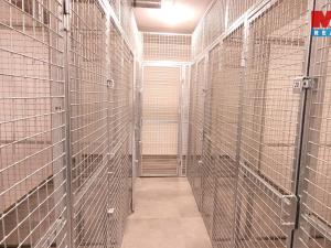 Pronájem bytu 1+kk, Jablonec nad Nisou - Kokonín, Krkonošská, 36 m2