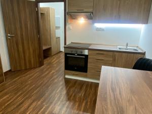 Pronájem bytu 1+kk, Ostrov - Horní Žďár, 28 m2