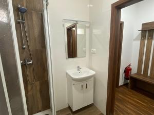 Pronájem bytu 1+kk, Ostrov - Horní Žďár, 28 m2