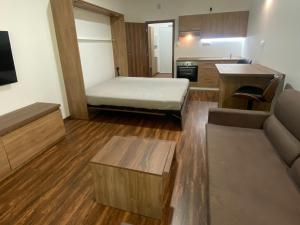 Pronájem bytu 1+kk, Ostrov - Horní Žďár, 28 m2