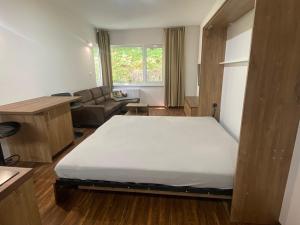 Pronájem bytu 1+kk, Ostrov - Horní Žďár, 28 m2
