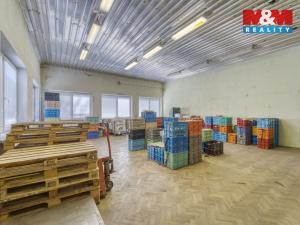 Prodej obchodního prostoru, Postřekov - Mlýnec, 1605 m2
