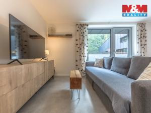 Prodej bytu 1+kk, Janov nad Nisou, 29 m2