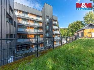 Prodej bytu 1+kk, Janov nad Nisou, 29 m2