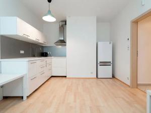 Pronájem bytu 1+kk, Praha - Žižkov, Olšanská, 43 m2