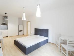 Pronájem bytu 1+kk, Praha - Žižkov, Olšanská, 43 m2