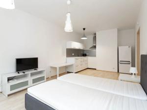 Pronájem bytu 1+kk, Praha - Žižkov, Olšanská, 43 m2