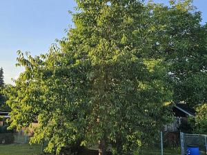 Prodej chaty, Teplice, 23 m2