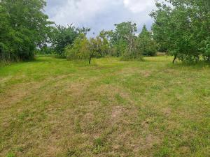 Prodej pozemku, Češov, 1189 m2