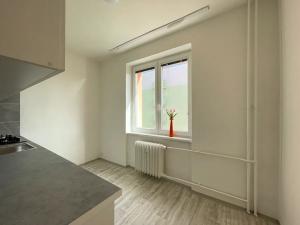 Pronájem bytu 2+1, Litvínov, Ruská, 52 m2