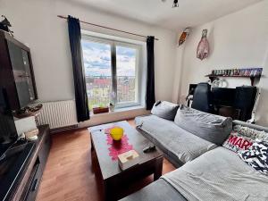 Prodej bytu 2+1, Brno, Zemědělská, 50 m2