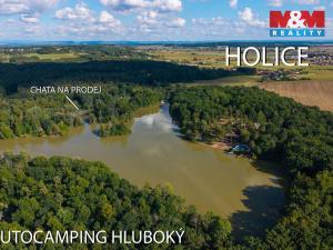 Prodej chaty, Holice - Podlesí, 55 m2