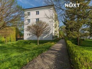 Prodej bytu 3+1, Postřelmov, Nová, 60 m2