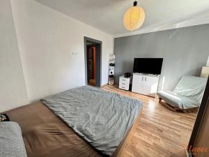 Prodej bytu 2+1, Karlovy Vary, Třeboňská, 43 m2
