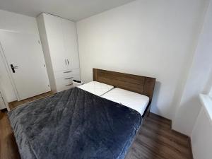 Prodej bytu 1+kk, Ostrava, Krakovská, 20 m2