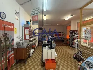 Prodej obchodního prostoru, Suchdol nad Lužnicí, Husova, 401 m2