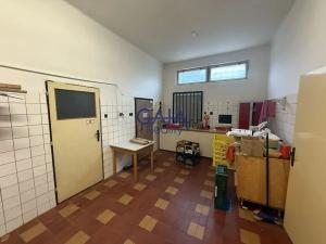 Prodej obchodního prostoru, Suchdol nad Lužnicí, Husova, 401 m2