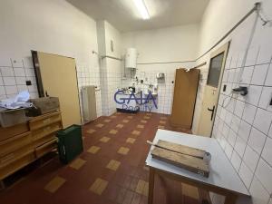 Prodej obchodního prostoru, Suchdol nad Lužnicí, Husova, 401 m2