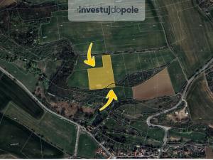Prodej pole, Dobříč, 2430 m2