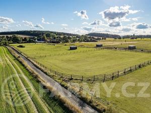 Prodej zemědělské usedlosti, Březnice, 300 m2