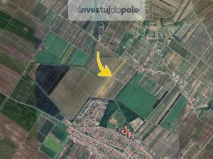 Prodej pole, Velké Bílovice, 10727 m2