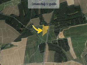Prodej lesa, Luženičky - Luženice, 15277 m2