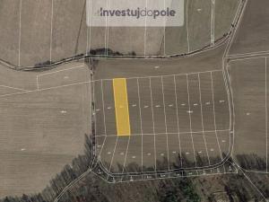 Prodej pole, Bykoš, 5000 m2