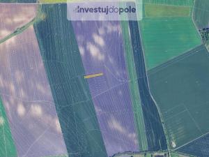 Prodej pole, Otmarov, 1360 m2