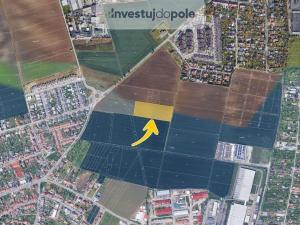 Prodej pole, Moravany, 12960 m2